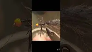 Black & Hot Orange Vampire Leech