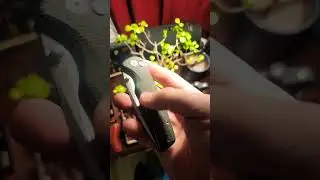 the Sencut Sachse button lock