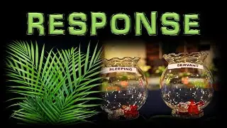 PalmSunday: RESPONSE