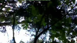 DH