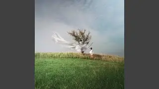 foglie