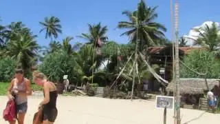 Шри Ланка отель Shangrela Beach  Resort пляж