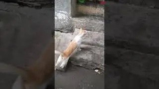 А ты что?))) #архив #