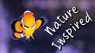 Aquarium Inspiration for a reef keeper