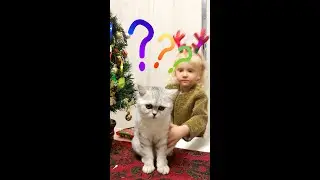 the most WATCHED & FAMOUS cat video