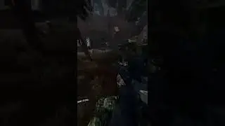 Гнида S.T.A.L.K.E.R:  G.A.M.M.A. Anomaly #shorts