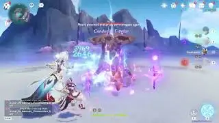 Wriothesley stellar gameplay leak