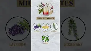 Original Santal by Creed | Fragrance Notes
