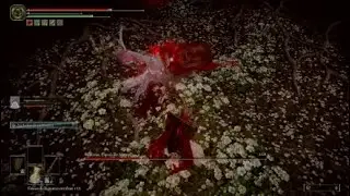 Malenia Glitch | Elden Ring