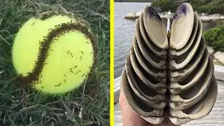 Pics That Show The World Is Full Of Special Things, And You Can Find Them Everywhere