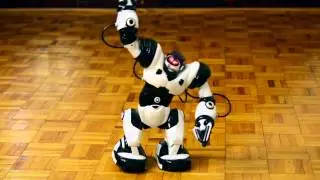Robosapien