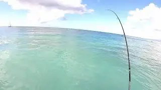 Microplugging Topwater with Ajing Rod