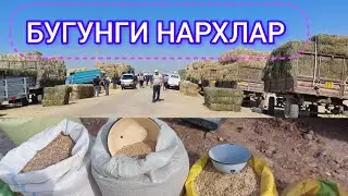 ЕМ ХАШАК СОМОН БЕДА ПРЕСС НАРХЛАРИ КАРШИ КАРВОН МОЛ БОЗОРИДА 08.11.2023