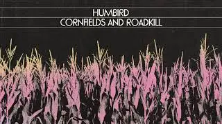 Humbird - Cornfields and Roadkill (Official Visualizer)