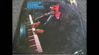 Little David Wilkins 