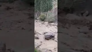 Surxondaryo viloyati Sangardak dam olish maskaniga to‘satdan kuchli yomg‘ir va sel kelib qoldi