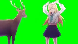 [Shikanoko Nokonoko Koshitantan] Bully Koshi dance [Green screen]