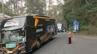 Telolet Bus study tour smk maarif sumpiuh#telolet #bus