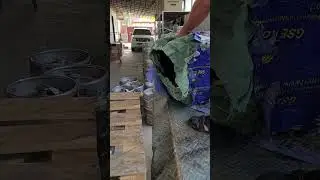 26 июля 2024 г.