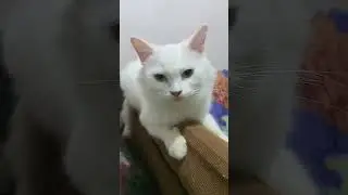 meet snow and bangus#subscribe #support #trending