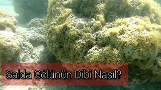 Salda Gölünün Dibi Nasıl? / Gölün En İlginç Özelliği Nedir ?