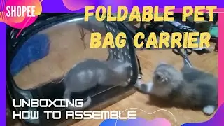 HOW TO ASSEMBLE FOLDABLE PETBAG CARRIER : REVIEW PETBAG CARRIER, CATS' REACTION
