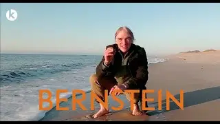 Dekorative Mineralien: Bernstein