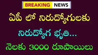 ఏపీ లో నిరుద్యోగులకు నిరుద్యోగ భృతి | నెలకు 3000 రూపాయిలు | AP Nirudyoga Bruthi 2024 |