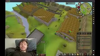 how to hide roofs in old school runescape (runelite)