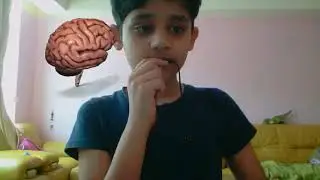 brain