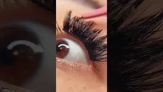 ONLYCANAS Segmented Diy Lash Kit Diy Whispy Lash Extensions Diy Lashes