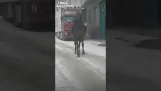 15 декабря 2020 г.