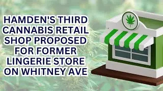 Hamden proposes third cannabis retail shop at former lingerie store on Whitney Avenue