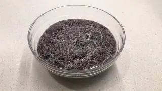 Poppy seed filling