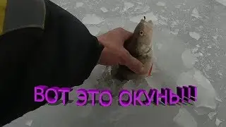ВОТ ЭТО ОКУНЬ!!!ловля окуня на мормышку.зимняя рыбалка.