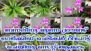 ground orchid repotting |potting mix|