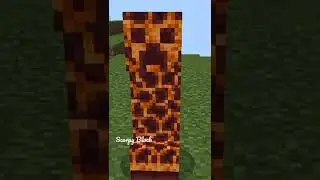 Who Is Best Creeper?  👀 #minecraft #short