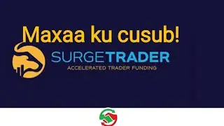 Update ku saabsan Surge trader|