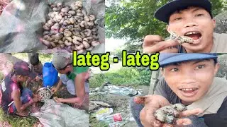 masarap pang pulutan..anu tawag niyo nito sainyo mga kaprobinsya??