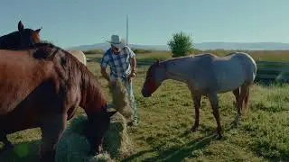 Navigating Ranch Life with KEMIMOTO🌾