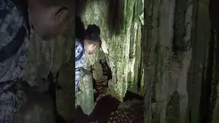 গা ছমছম করা ভয়ংকর সুন্দর