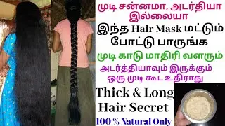 முடி அடர்த்தியா காடு மாதிரி வளரும் இந்த Hair Mask மட்டும் போட்டீங்கனா