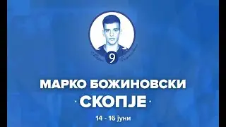KONJUH - PELISTER