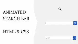 Create an Animated Search Bar using HTML & CSS