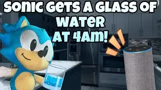 Sonic wakes up at 4am and walks to the kitchen and makes a glass of water  and drinks it!
