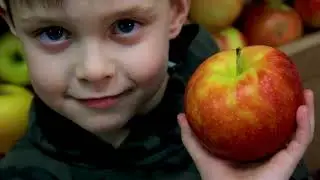 #ЗОЖГИ. Выпуск 25 декабря 2019 года