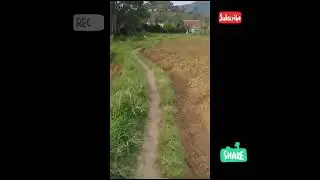 #ngurirlagigaes# demi keluarga rela mapay2 jalan setapak agar bisa terkirim paket nya