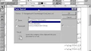 using command past special in inpage Lesson 2 6
