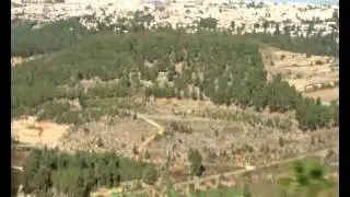 Jerusalem 16.11.2010
