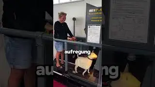 Why Is This Machine Making Fun Of Dog Owners?😳